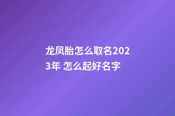 龙凤胎怎么取名2023年 怎么起好名字